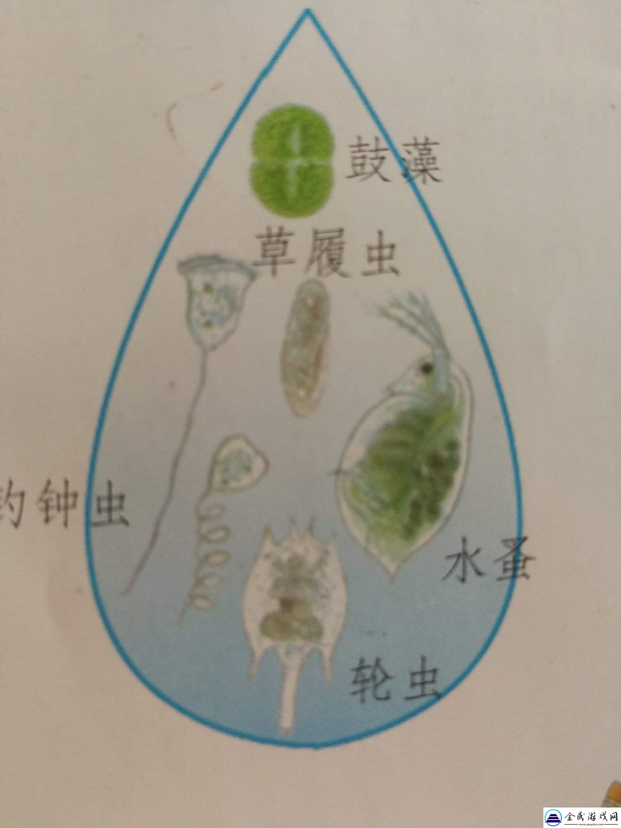 “潮起‘水秘密’