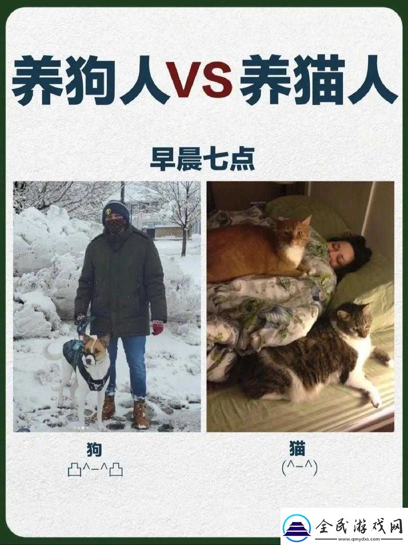 人狗膠配方大全狗狗一