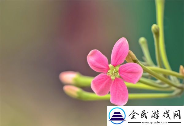 女方用嘴巴吃雞后多久恢復(fù)：恢復(fù)時(shí)間與注意事項(xiàng)