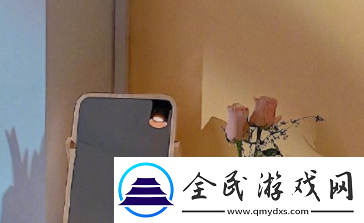 大奉打更人插花弄玉的背景故事