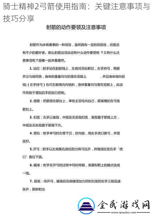騎士精神2弓箭使用指南