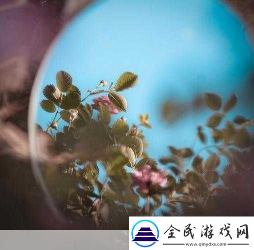 對(duì)鏡子看我們的結(jié)合處1.鏡中映照