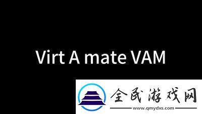 virtamate怎么玩h無限數碼