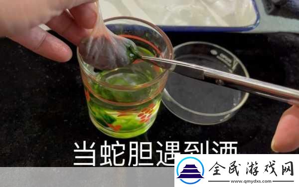 劍三蛇膽在哪刷劍三蛇膽獲取方法介紹