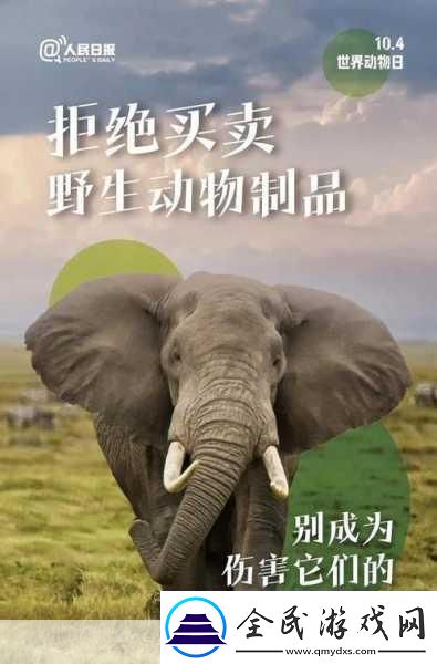 人與畜禽共性關(guān)系的重要性意義-1.-人與畜禽共生關(guān)系對生態(tài)平衡的影響