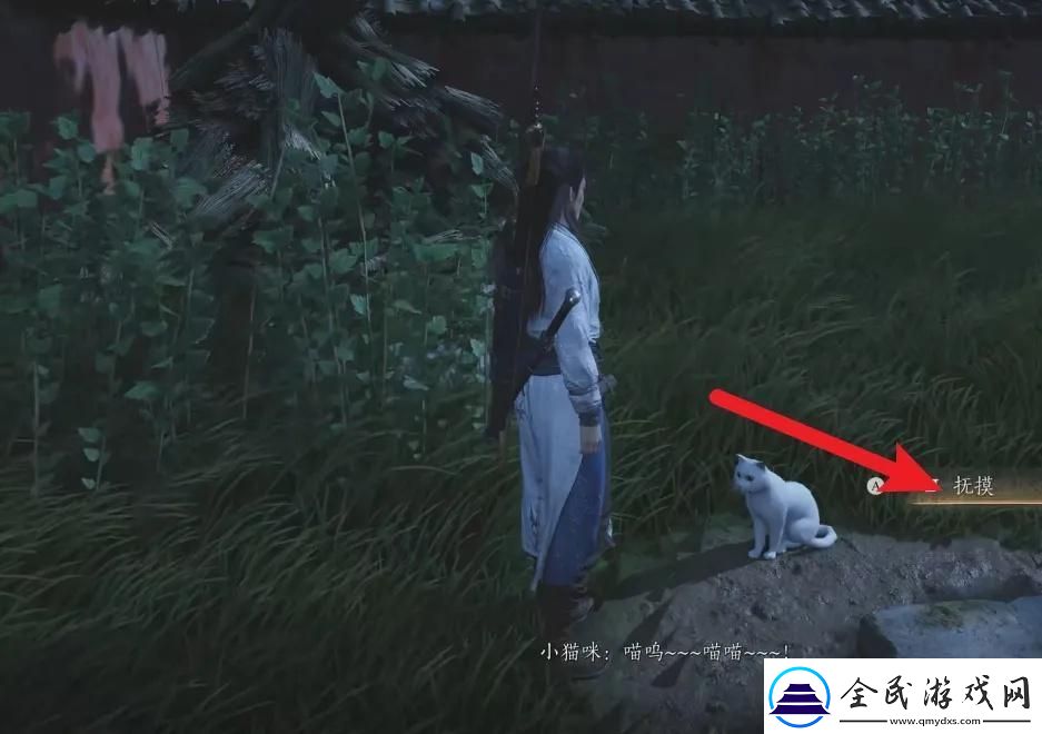 燕云十六聲在哪摸貓